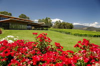 Book Yarra Glen Accommodation Vacations Travel Agents Travel Agents