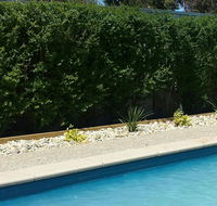 Robinvale Bridge Motel - Tourism Guide