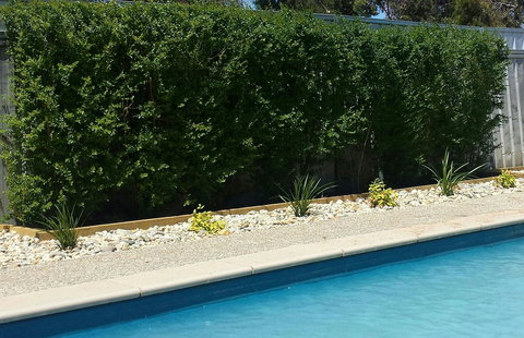 Robinvale Bridge Motel - Travel Agents 0