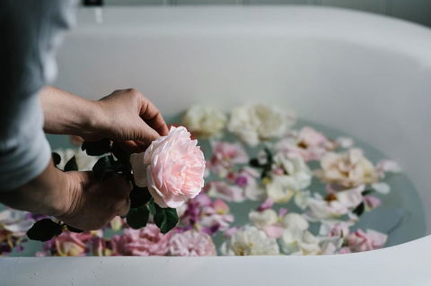 Acre Of Roses - Tourism Guide 7