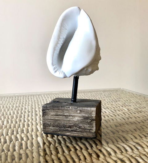Sea Shells On Banyan Apartment - Tourism Guide 9