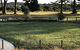 Bunya By The Sea - thumb 3