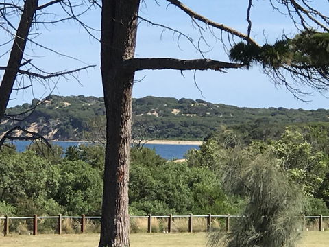 Bunya By The Sea - Cruises Travel 6