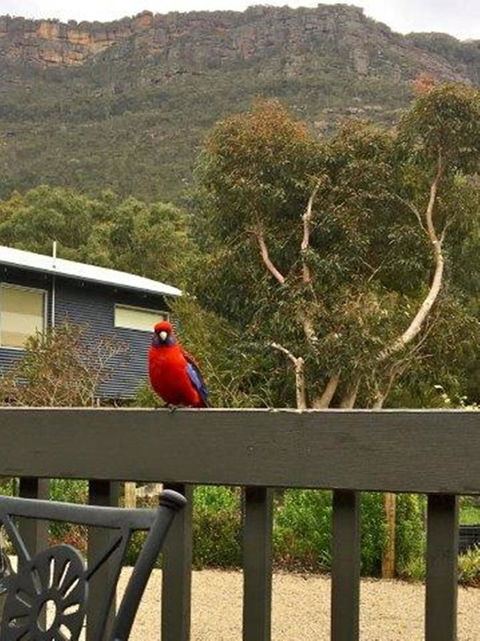 Kangurra Holiday House - Travel Agents 15