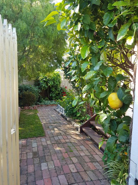 Healesville House - Fig Tree House - Tourism Guide 17