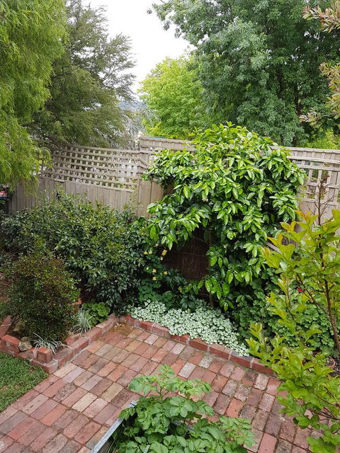 Healesville House - Fig Tree House - Tourism Guide 21