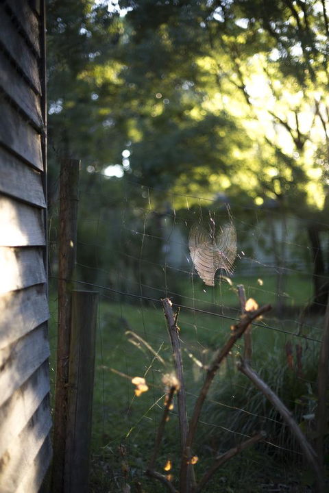 Botanica Editions - Tourism Guide 14