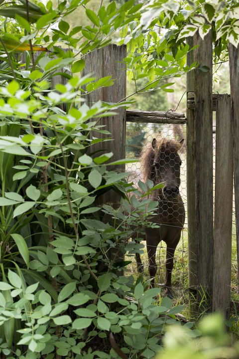 Botanica Editions - Tourism Guide 40