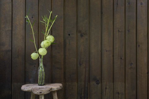 Botanica Editions - Tourism Guide 10