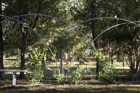 Botanica Editions - Tourism Guide 42