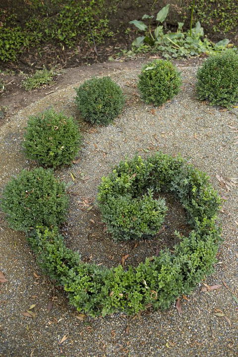 Botanica Editions - Tourism Guide 7