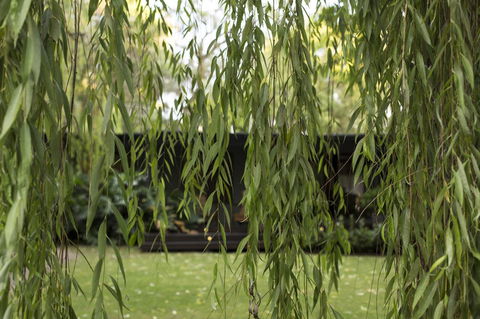 Botanica Editions - Tourism Guide 38