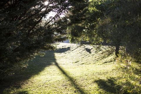 Botanica Editions - Tourism Guide 29