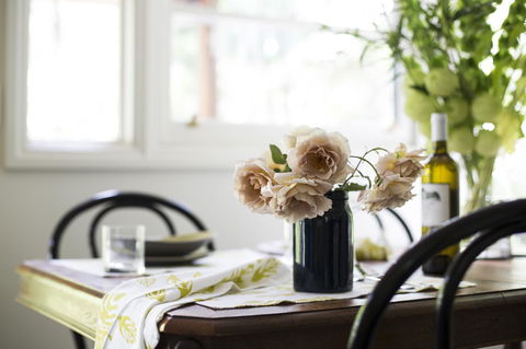 Botanica Editions - Tourism Guide 13