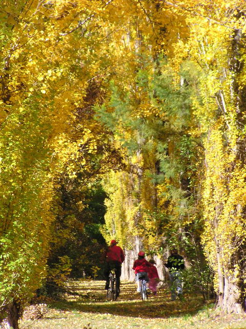 On The Banks - Travel Search 15