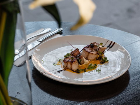 Melbourne Marriott Hotel - Tourism Guide 36
