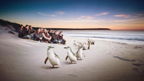 C-Scape Water Front Apartment - Tourism Guide 16