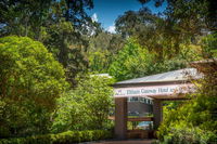 Book Eltham Accommodation Vacations Travel Agents Travel Agents