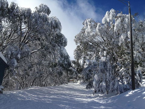 Maisonettes Falls Creek - Travel Search 17