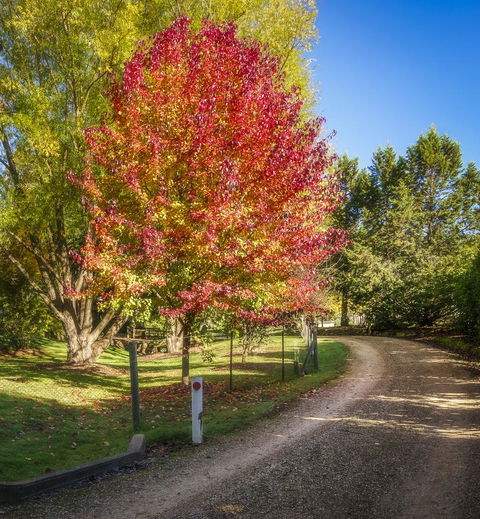 Bright Mystic Valley - Travel Search 23