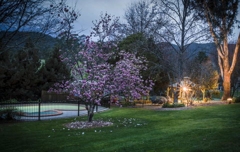 Bright Mystic Valley - Travel Search 26