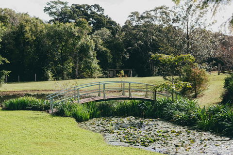 The Eumundi Dairy - Travel Search 0