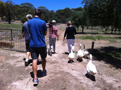 The Farm Willunga - Travel Search 1
