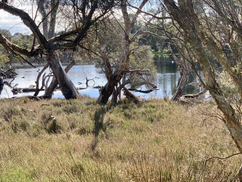 The Lake House - Travel Search 0