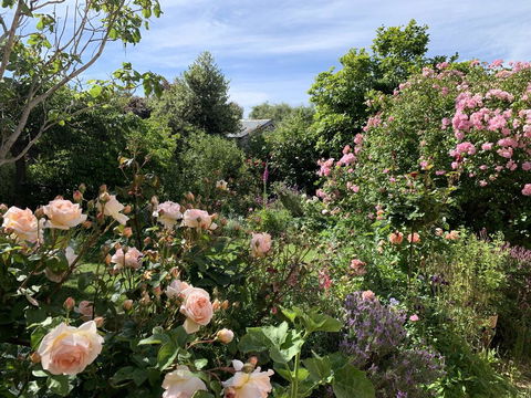 The Racecourse Inn - Tourism Guide 2