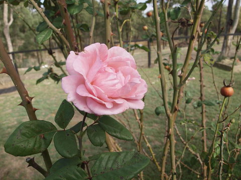 The Table Guest House - Tourism Guide 0