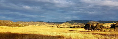 The Wattle Lodge - Travel Agents 1