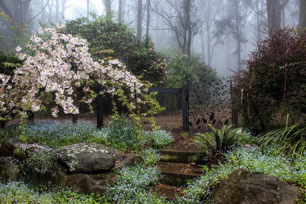 Mount Tomah NSW Travel Search