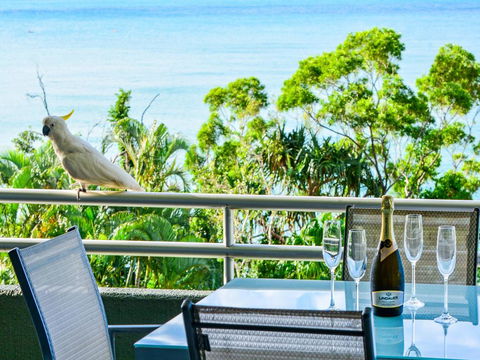 Top Floor Hibiscus Apartment 208 - Travel Search 3