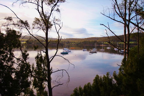 Tranquil Point - Travel Search 0