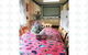 Tranquil Views - Private Sanctuary - thumb 2