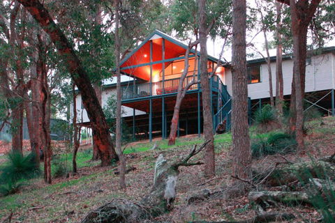 Treehouse - 3 Acre Elevated Nature Setting - Travel Search 3