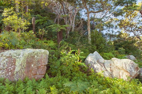 Treehouse Palm Beach - Travel Search 2