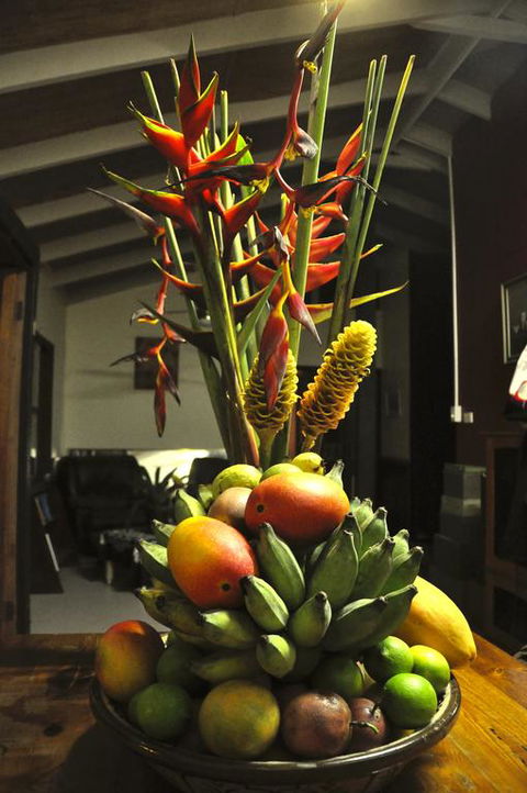 Tropical Bliss Bed And Breakfast - Travel Search 3