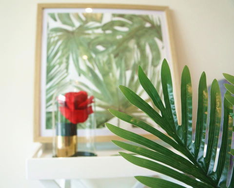 Tropical Delight 1 Bedroom Apt - Tourism Guide 0