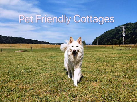 Twelve Apostles Motel & Country Retreat - Travel Search 2