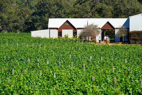 Upper Reach Spa Cottage - Travel Search 0
