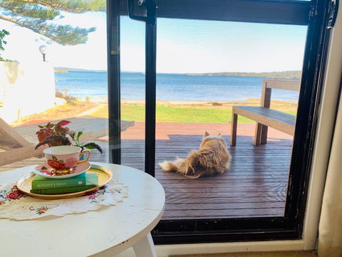 Vandy's Shack At Mount Dutton Bay - Ideal For Couples And Small Families - Cruises Travel 3