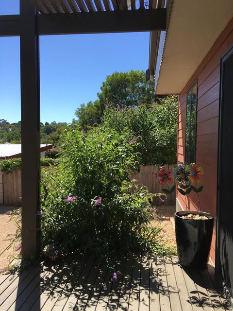 Daydream Cottage - Travel Agents 10