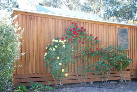 Bluegum Ridge Cottages - Travel Search 23