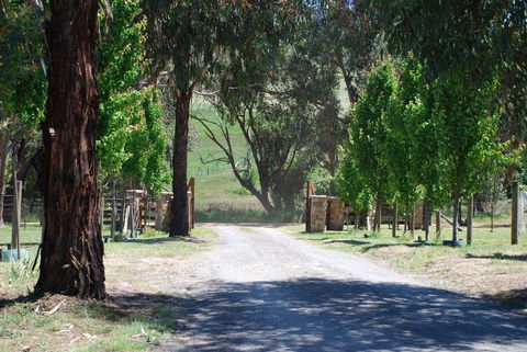 Bluegum Ridge Cottages - Travel Search 3