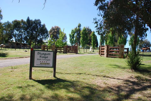 Bluegum Ridge Cottages - Travel Search 1