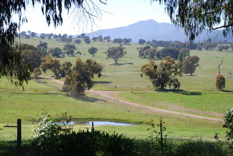 Bluegum Ridge Cottages - Travel Search 31