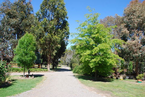 Bluegum Ridge Cottages - Travel Search 5