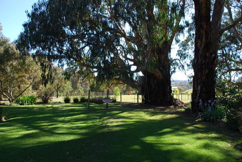 Bluegum Ridge Cottages - Travel Search 29