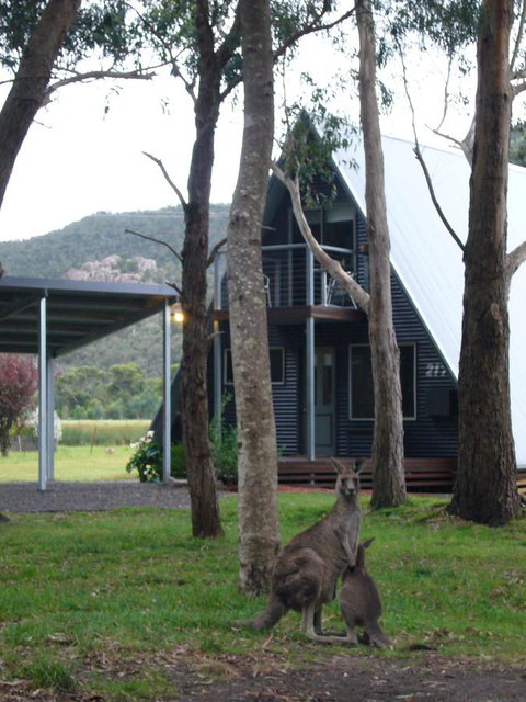 The A-Frame - Tourism Guide 1